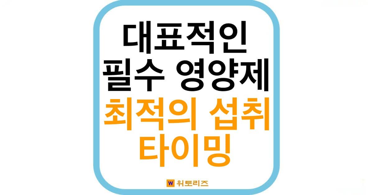 대표적인 필수 영양제 먹는 순서