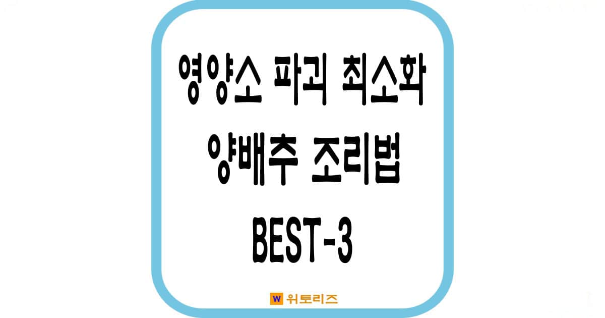 위장 건강에 좋은 양배추 영양소 파괴 최소화 하는 조리방법 3가지