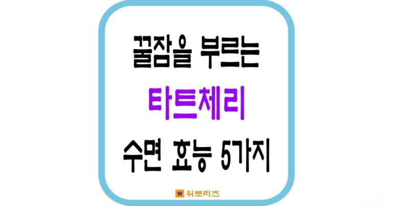 꿀잠을 부르는 타트체리 수면 효능 5가지