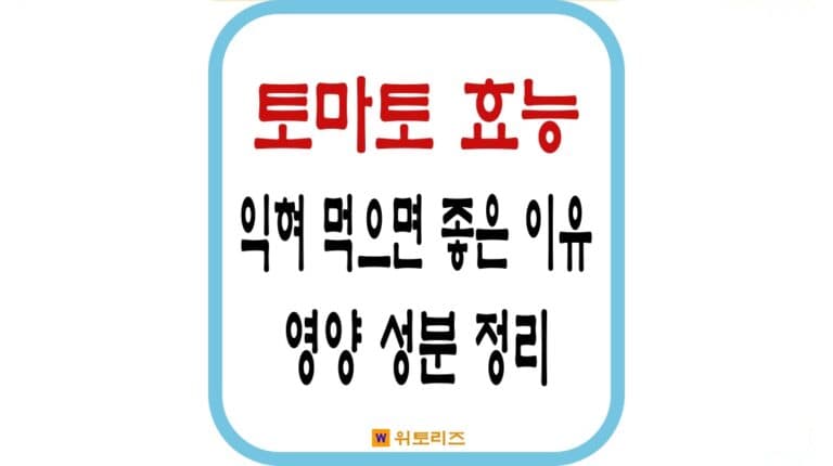 토마토의 효능: 익혀 먹으면 좋은 이유와 생토마토의 영양 성분 정리