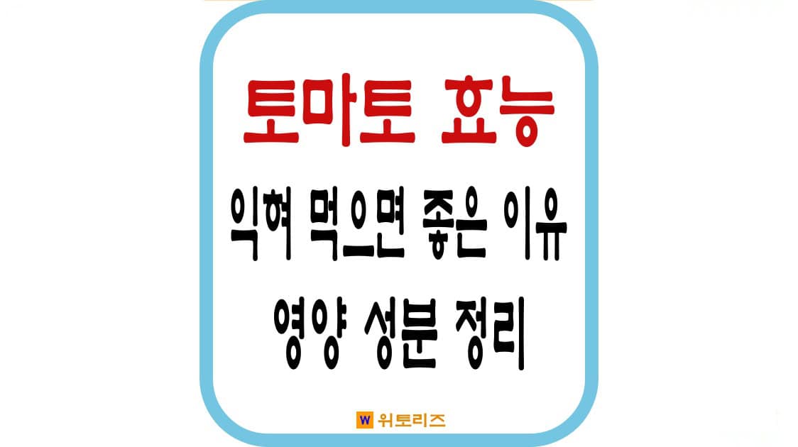 토마토의 효능: 익혀 먹으면 좋은 이유와 생토마토의 영양 성분 정리