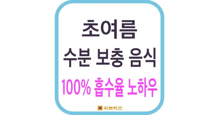 초여름 수분 보충 음식 100% 흡수율 노하우