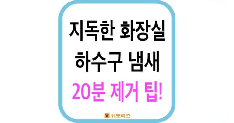 지독한 화장실 하수구 냄새 20분 제거 팁